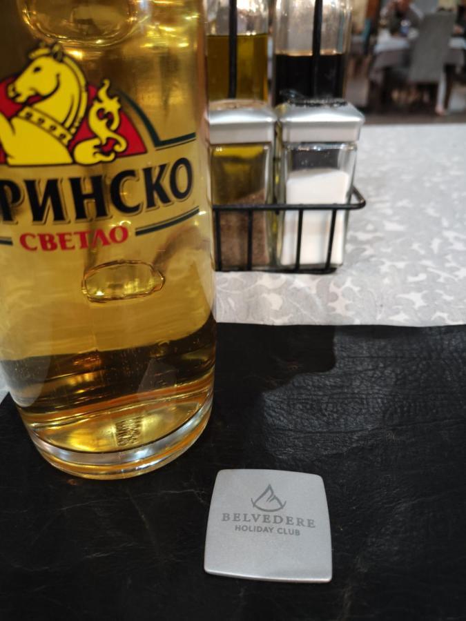 Bansko Belvedere Apartament Kültér fotó